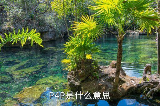 P4P是什么意思