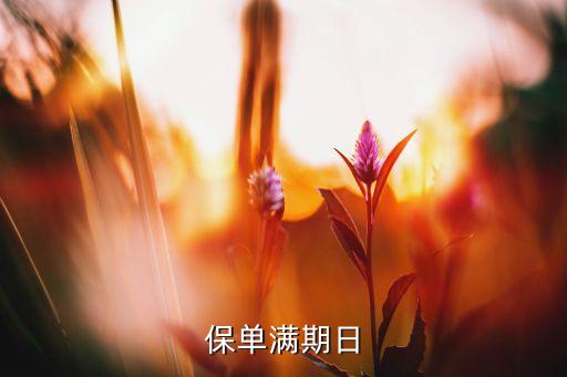 保單滿期日