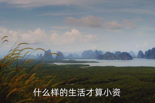 什么樣的生活才算小資