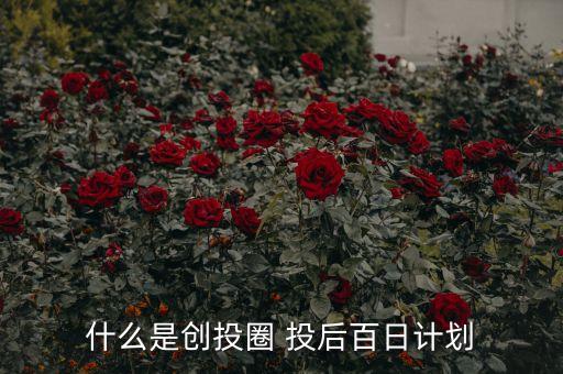 創(chuàng)投圈的網(wǎng)址是什么，飛輪海中文網(wǎng)的的網(wǎng)址是什么有誰解答
