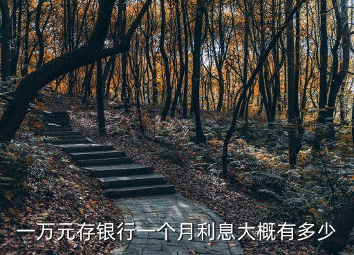 一萬元存銀行一個月利息大概有多少