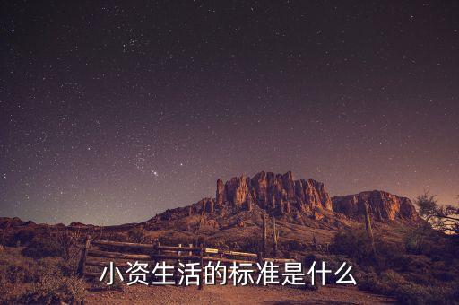 小資生活的標(biāo)準(zhǔn)是什么