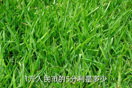 10000五分利息是多少，10000元錢(qián)5分利益一個(gè)月多少錢(qián)