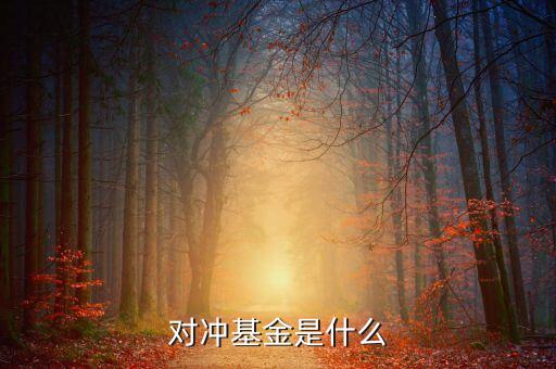 對(duì)沖基金是什么