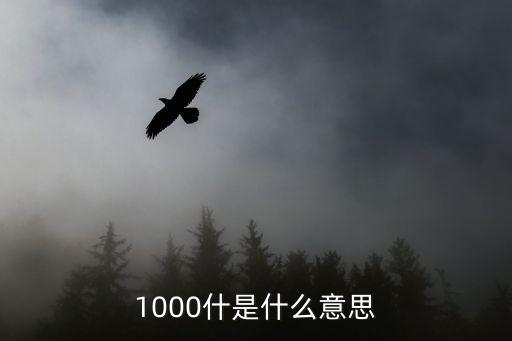 金額為1000什么意思，1000什是什么意思