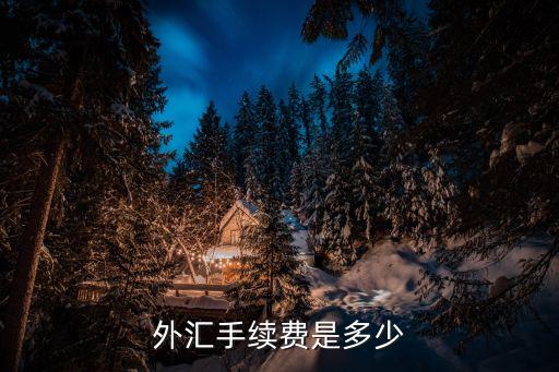 國內(nèi)外幣手續(xù)費多少，國內(nèi)外匯交易手續(xù)費一般是多少