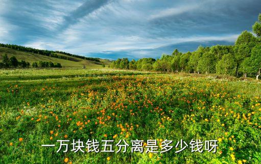 一萬塊錢五分離是多少錢呀