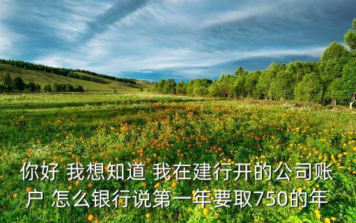 建行企業(yè)銀行 年費多少錢，建行對公賬號年費 賬號維護費 各種費用是多少啊