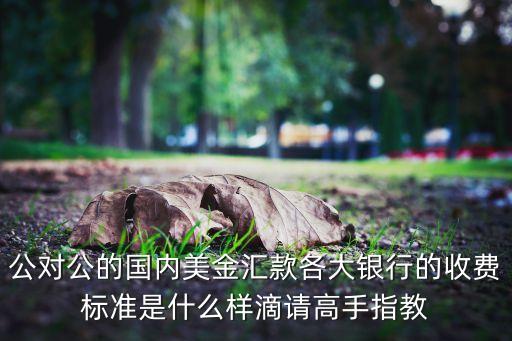 公對公的國內(nèi)美金匯款各大銀行的收費標準是什么樣滴請高手指教
