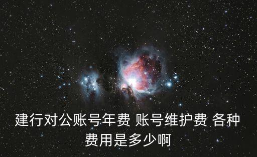 建行對(duì)公賬號(hào)年費(fèi) 賬號(hào)維護(hù)費(fèi) 各種費(fèi)用是多少啊
