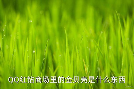 國海金貝殼是什么，QQ紅鉆商場里的金貝殼是什么東西