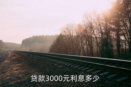 貨款3000一年利息多少，銀行貸款三千萬一年多少利息