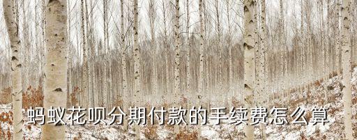 螞蟻花唄分期付款的手續(xù)費(fèi)怎么算
