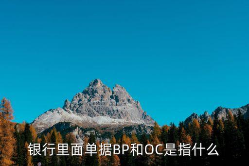 銀行里面單據(jù)BP和OC是指什么