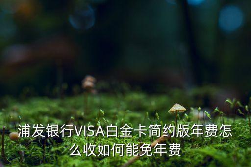 浦發(fā)ae白年費多少，浦發(fā)銀行VISA白金卡簡約版年費怎么收如何能免年費