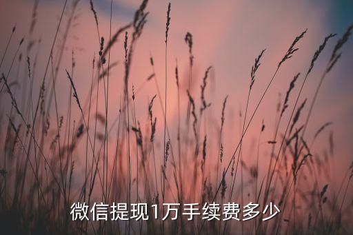 微信提10000要扣多少手續(xù)費多少錢，微信提現(xiàn)10000要多少手續(xù)費