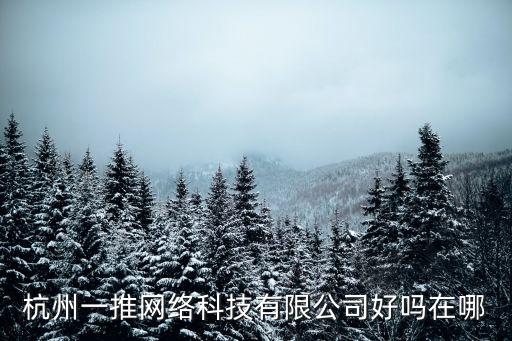 杭州一推網(wǎng)絡(luò)科技有限公司好嗎在哪