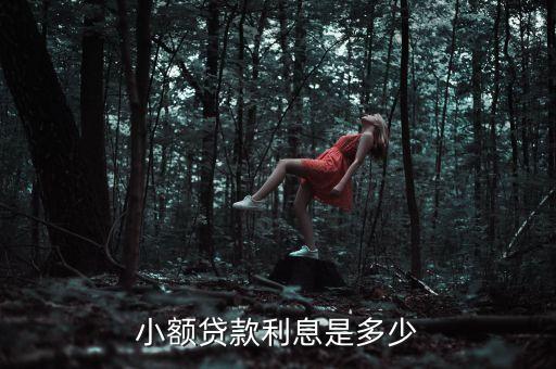 小額貸款利息是多少