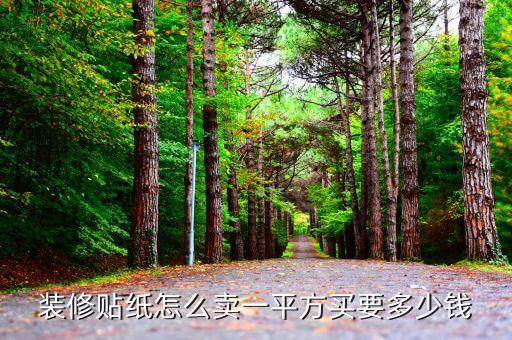 裝修卡條一般多少錢，裝修貼紙?jiān)趺促u一平方買要多少錢
