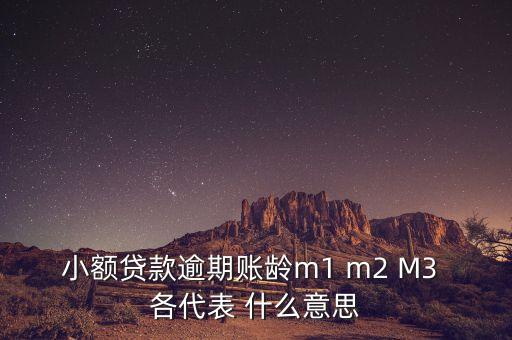 小額貸款逾期賬齡m1 m2 M3 各代表 什么意思