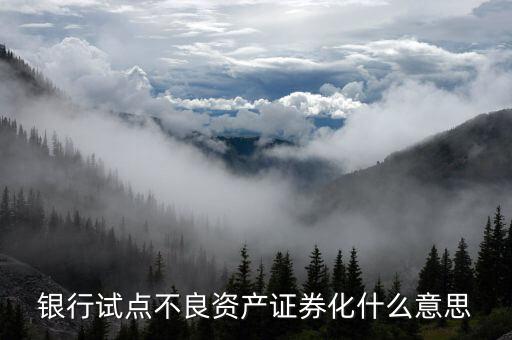 什么是銀行不良資產證券化，什么是不良資產證券化