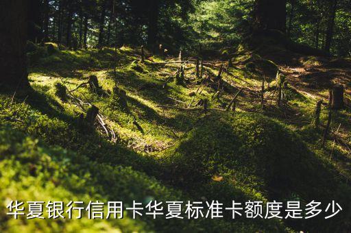 華夏銀行普卡限額多少，華夏銀行普通的儲蓄卡單日單筆在支付寶的充值金額最高限額是
