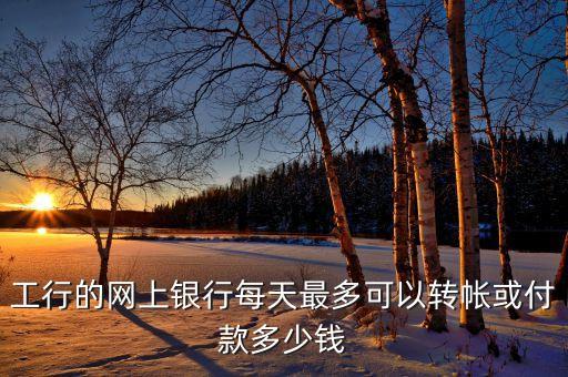 工行的網(wǎng)上銀行每天最多可以轉(zhuǎn)帳或付款多少錢