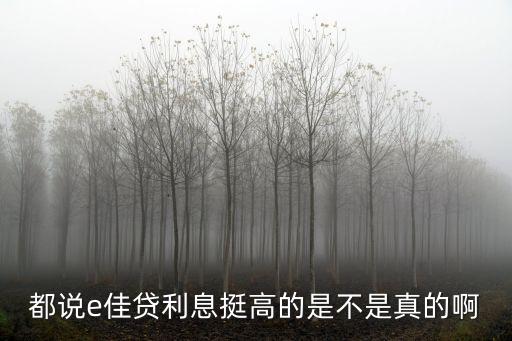 都說(shuō)e佳貸利息挺高的是不是真的啊
