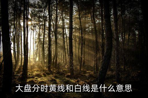 大盤分時(shí)黃線和白線是什么意思