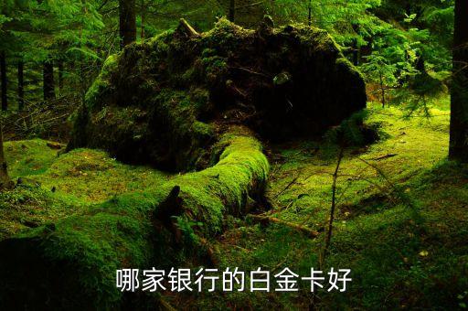 工行什么卡送pp卡，哪家銀行的白金卡好