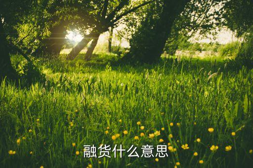 融貨是什么意思，網(wǎng)易貴金屬融資費(fèi)和融貨費(fèi)是什么