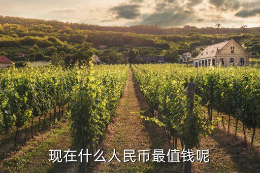 現(xiàn)在什么人民幣最值錢呢