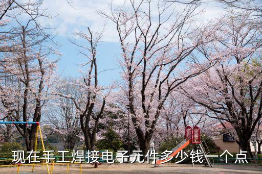 現在手工焊接電子元件多少錢一個點
