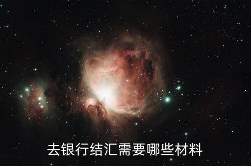 去銀行結(jié)匯需要哪些材料