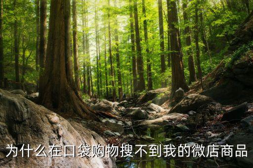 口袋期貨為什么找不到，期貨軟件服務器找不到是什么原因
