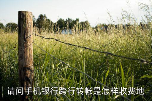 網(wǎng)上銀行可以夸行轉(zhuǎn)賬手續(xù)費(fèi)多少，請(qǐng)問(wèn)手機(jī)銀行跨行轉(zhuǎn)帳是怎樣收費(fèi)地