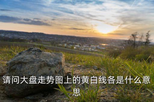 請(qǐng)問大盤走勢(shì)圖上的黃白線各是什么意思