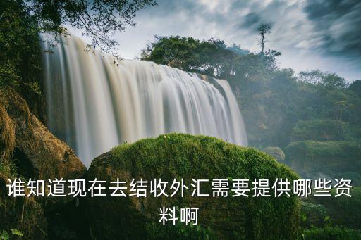 去銀行出口收匯需要什么材料，誰知道現(xiàn)在去結(jié)收外匯需要提供哪些資料啊