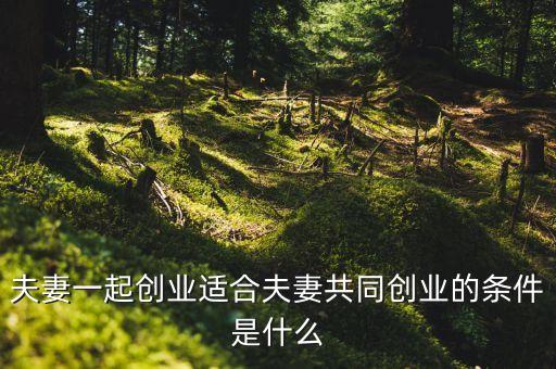 夫妻一起創(chuàng)業(yè)適合夫妻共同創(chuàng)業(yè)的條件是什么