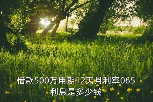 借款500萬用期12天月利率065利息是多少錢