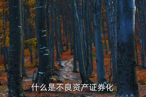 什么是不良資產(chǎn)證券化