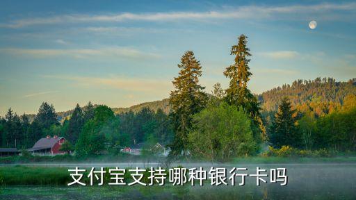 支付寶支持哪種銀行卡嗎