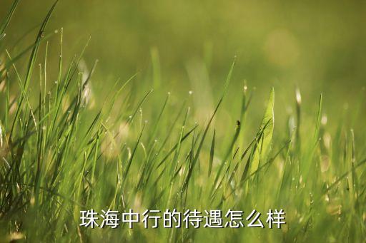 珠海中國(guó)銀行吉大支行什么待遇，珠海中行的待遇怎么樣