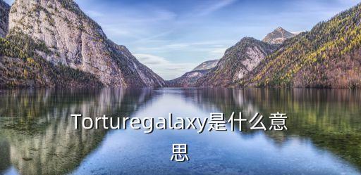 Torturegalaxy是什么意思
