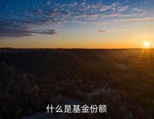 份額是什么意思，份額份額單位是什麼意思