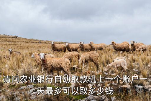請問農(nóng)業(yè)銀行自動取款機上一個賬戶一天最多可以取多少錢