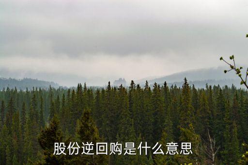 股份逆回購是什么意思