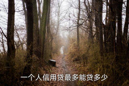 一個人信用貸最多能貸多少