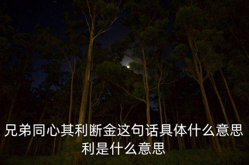 兄弟同心其利斷金這句話具體什么意思利是什么意思