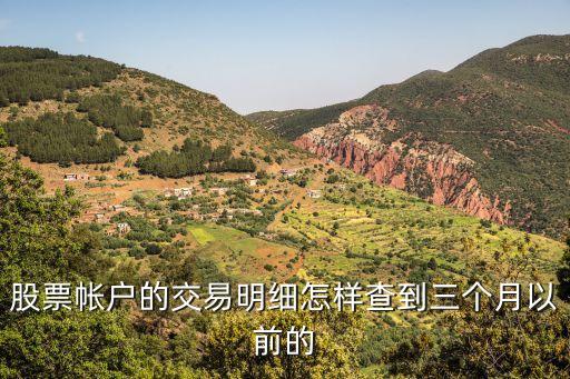 股票帳戶的交易明細(xì)怎樣查到三個(gè)月以前的